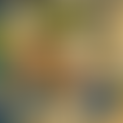 La diffusione dei B&B e delle locazioni turistiche brevi all’interno dei condomini...