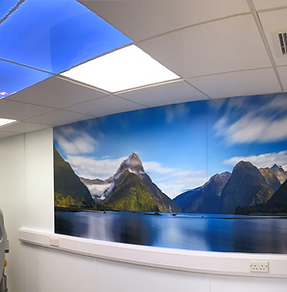 WhatsApp Image 2024-07-03 at 02.41_edited.png