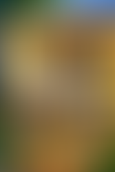 Il Codice Civile spiegato attraverso il condominio: viaggio tra proprietà, assemblee e amministrazione