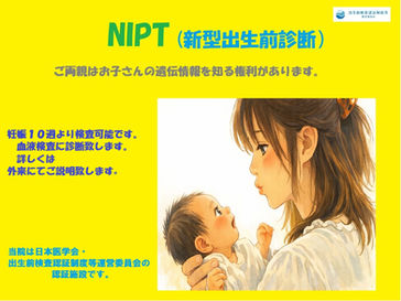 NIPT検査