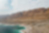 dave-herring-tArR7ys2F3Q-unsplash.jpg