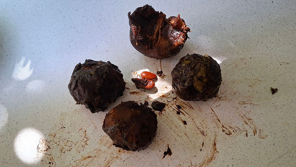 Every moment & day that passes