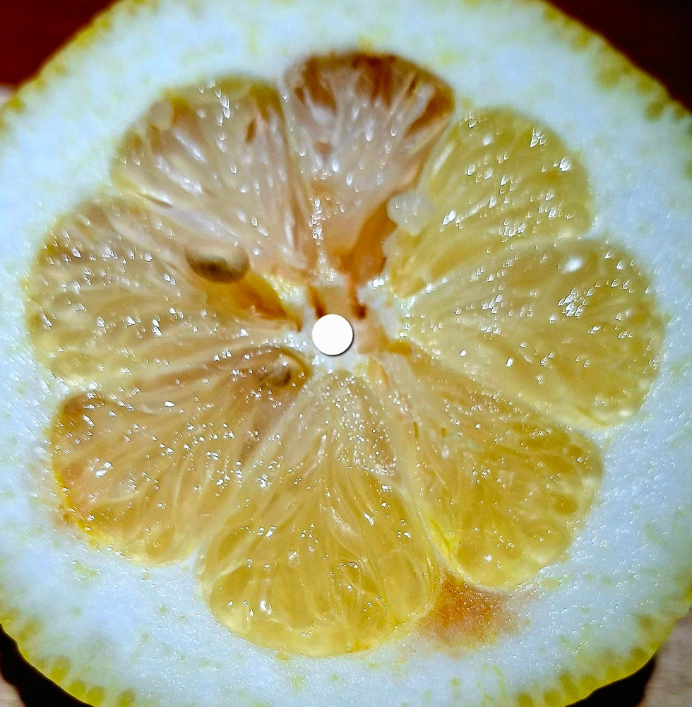 JUICE OF TRUE AND FREE REALITY PROCESS