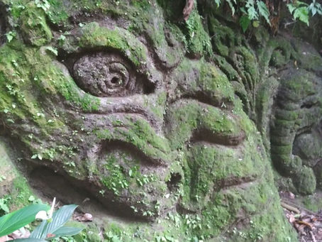 What is actually happening as Adidam?