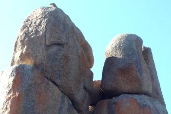 THE PRIMAL PLACE THAT IS REALITY ITSELF