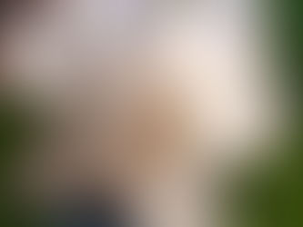 A collective force of revisionism