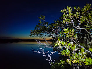 Whangateau_Nightsnorkel_Dec_2017 (36 of 36).jpg