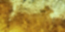 1d_Podzol-in-pumice-copy-1000x500.jpg