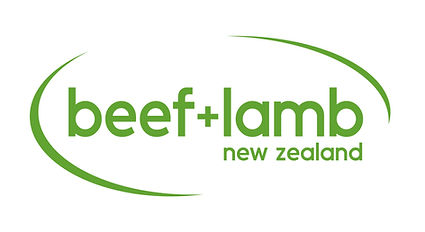 B+LNZ logo green-01.jpg