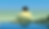 ASNZ Banner imageV3.png
