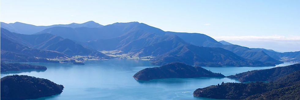 website banner .png
