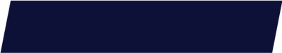 NZHS-2020-BG-2.png