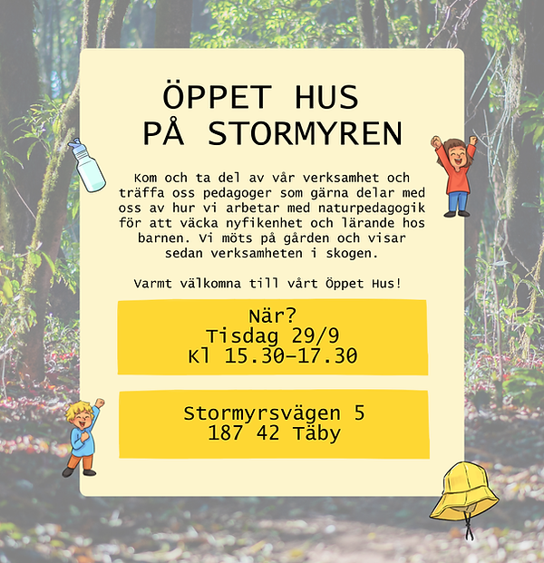 Öppethus stormyren.png