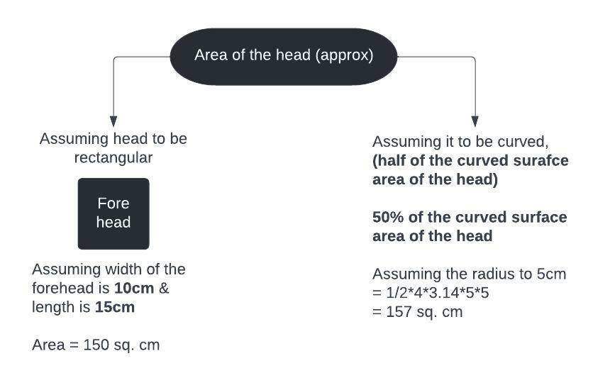 Estimate area of the head