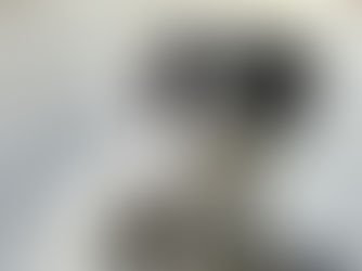 Discovering the Charm of Goldendoodles