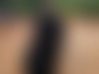 Raising Happy & Healthy Mini Goldendoodles