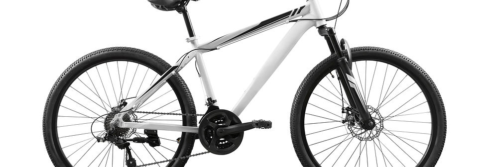 BICI BLANCA.jpg