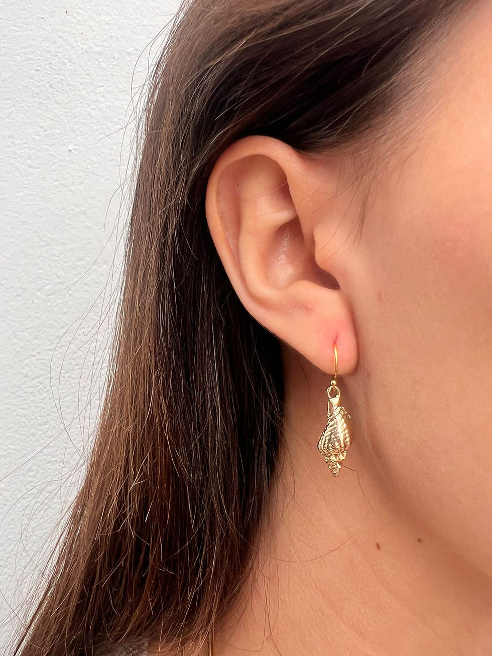 Thumbnail: Aros Shell