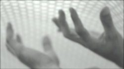 vlcsnap-2021-03-29-09h45m07s357_orig