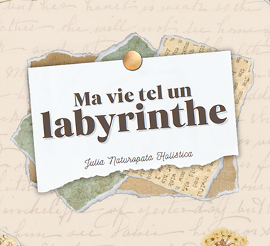 ma vie.png