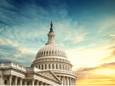 The "American Rescue Plan"