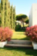 GARDEN+6.JPG