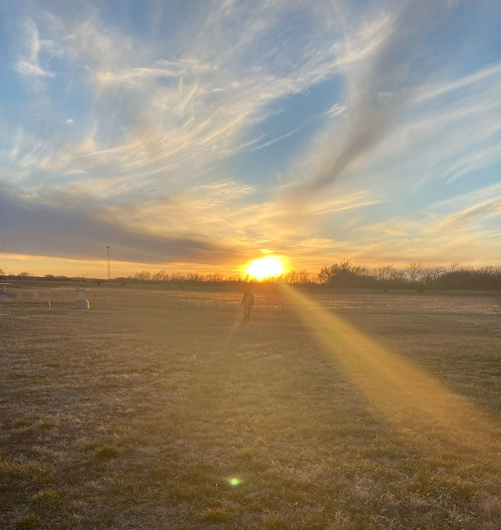 Person walking towards beautiful sunset, shadow