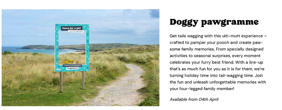 Dog-orientated activities coming in 2025