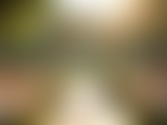 Break from Tradition with a Personalised Celebrant-Led Wedding Day