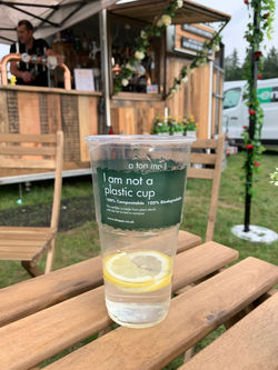 Sandringham F&D Festival '19