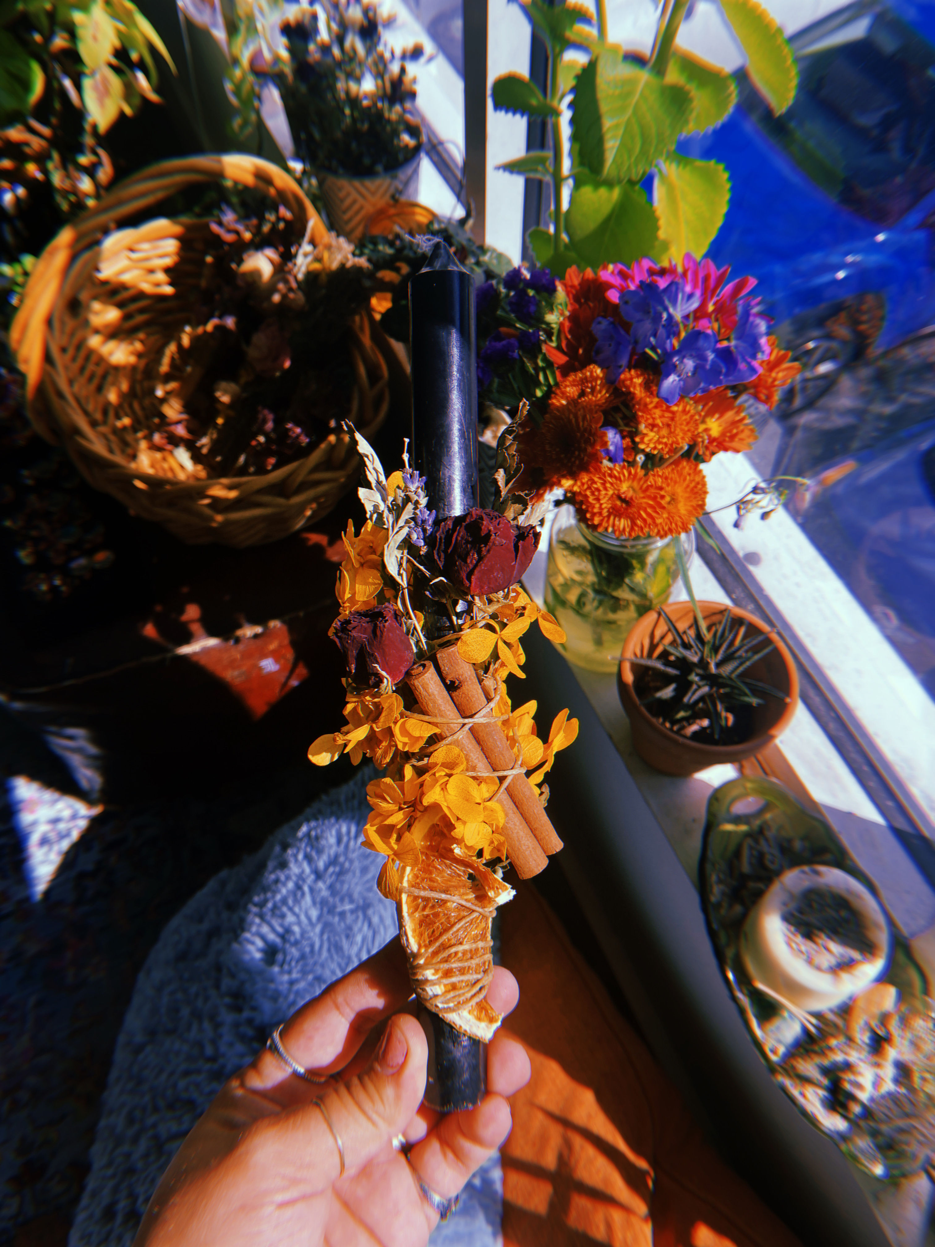 ♥ season of the witch  ♥