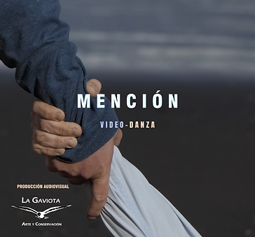 Afiche mención(1).png