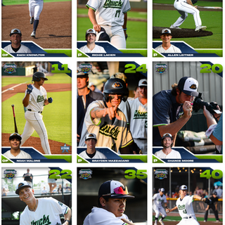 Wisconsin Woodchucks 2025 Season Player Cards