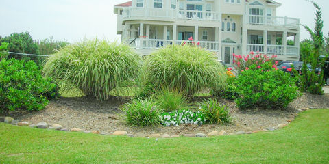 OBX landscaped residential yard with green bushes and lawn