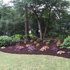 Landscaped garden bed with dark mulch and plants