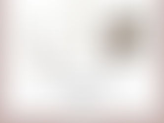  las cuñas de esparto para novias