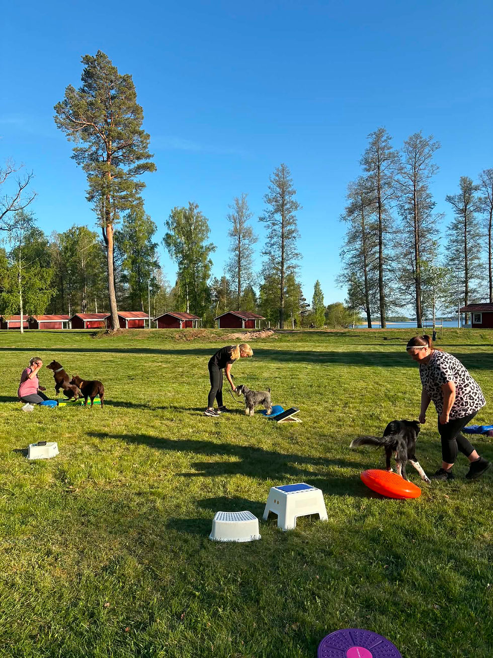 Kom i form tillsammans med hund