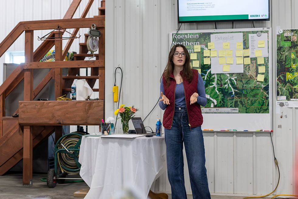 Caitlin presenting in a Roeslein meeting