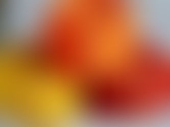 A Guide to Choosing the Right PP Danline Rope