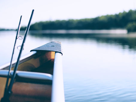 I Can See Clearly Now