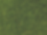 green grass field during daytime_edited.png