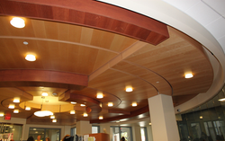 Arlington Public School