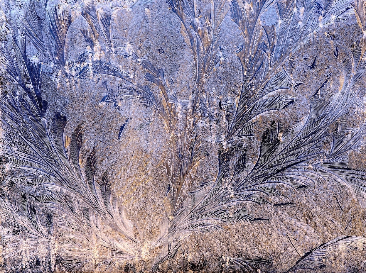 Christmas Morning Frost