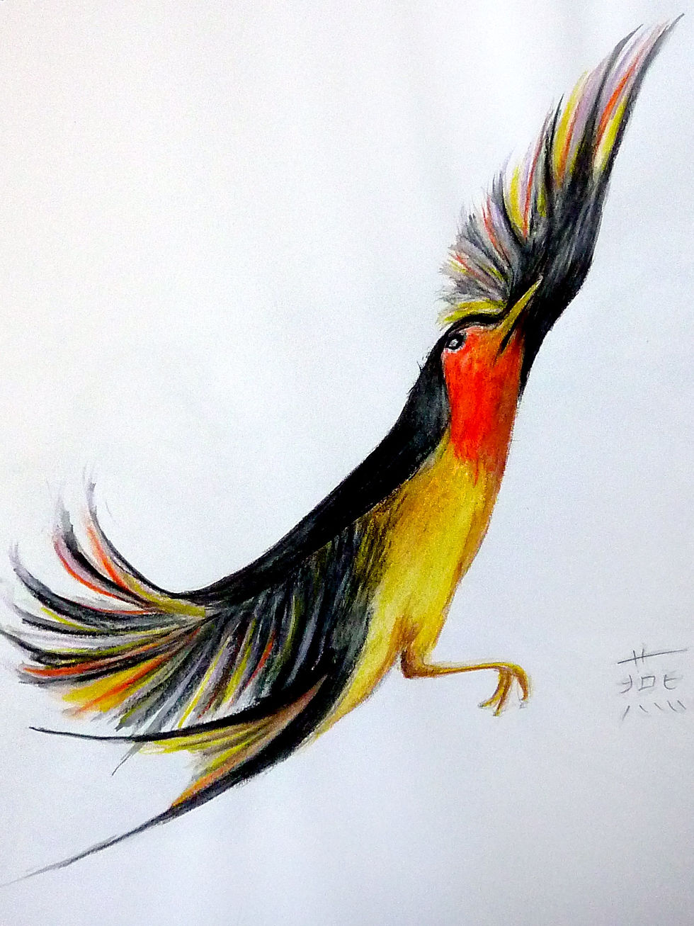 Swallow