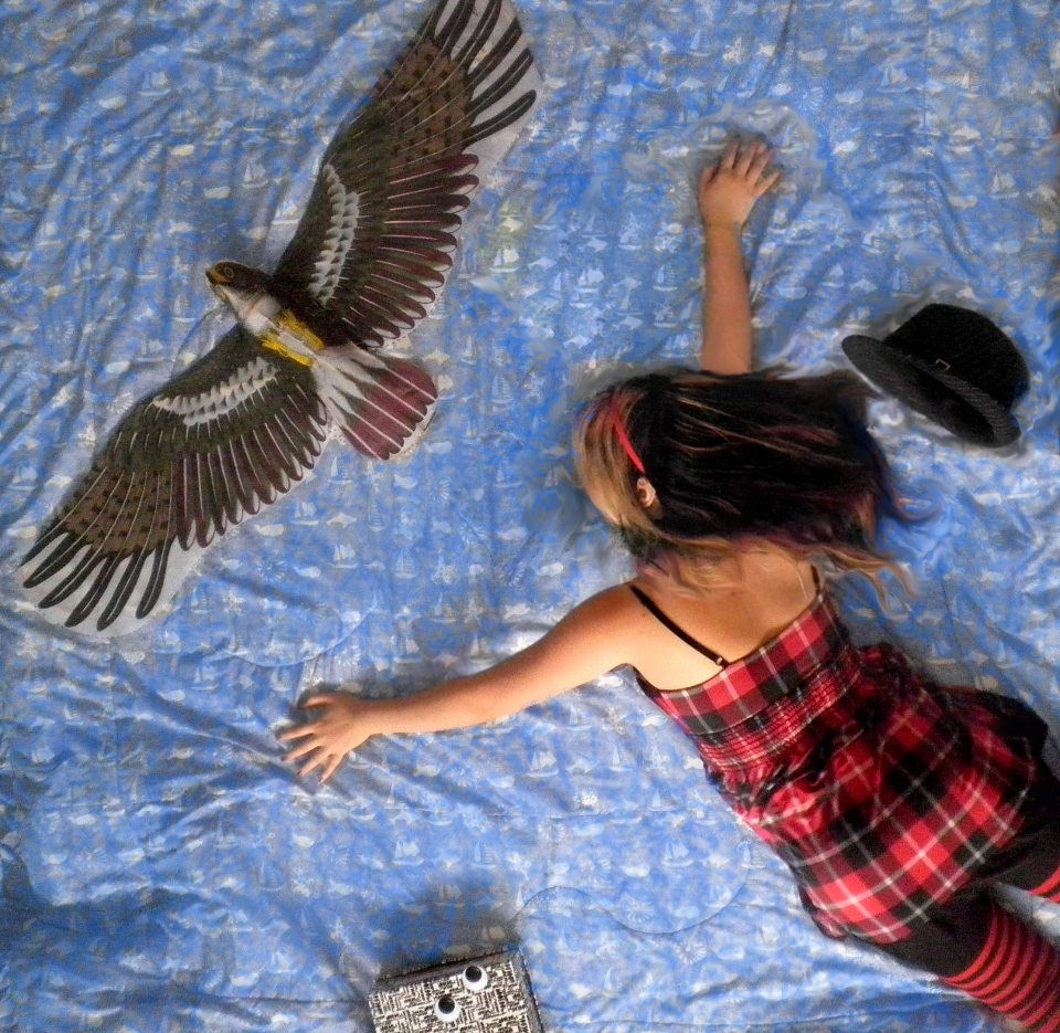 Birdseye 4