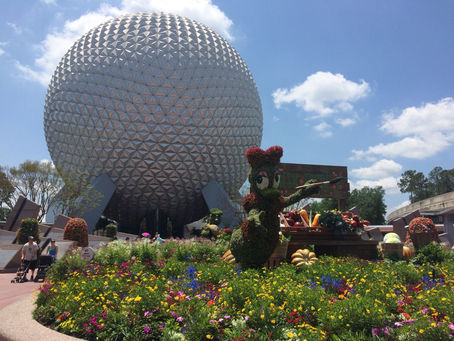 Un anno di Lavoro a Epcot, Disney World
