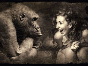 Sobre humanos e chimpanzés