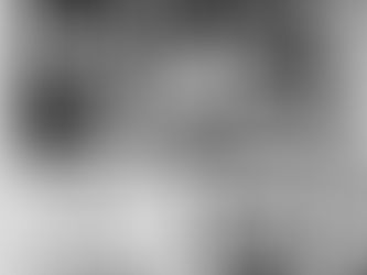 Mayflower Descendants Celebrate Ancestors 1934