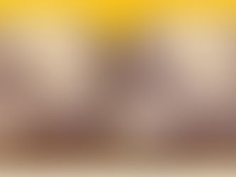 Selwin C Reed 1870 Photo Green Street Newburyport Massachusetts