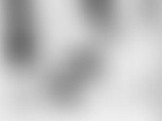 Camden New Jersey Marriage Certificates of Quakers Richard Cooper 1796 and Evan Evans 1771